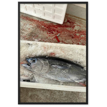 Load image into Gallery viewer, &quot;Tunas bleed too&quot; Framed matte paper poster (61 cm x 91 cm)
